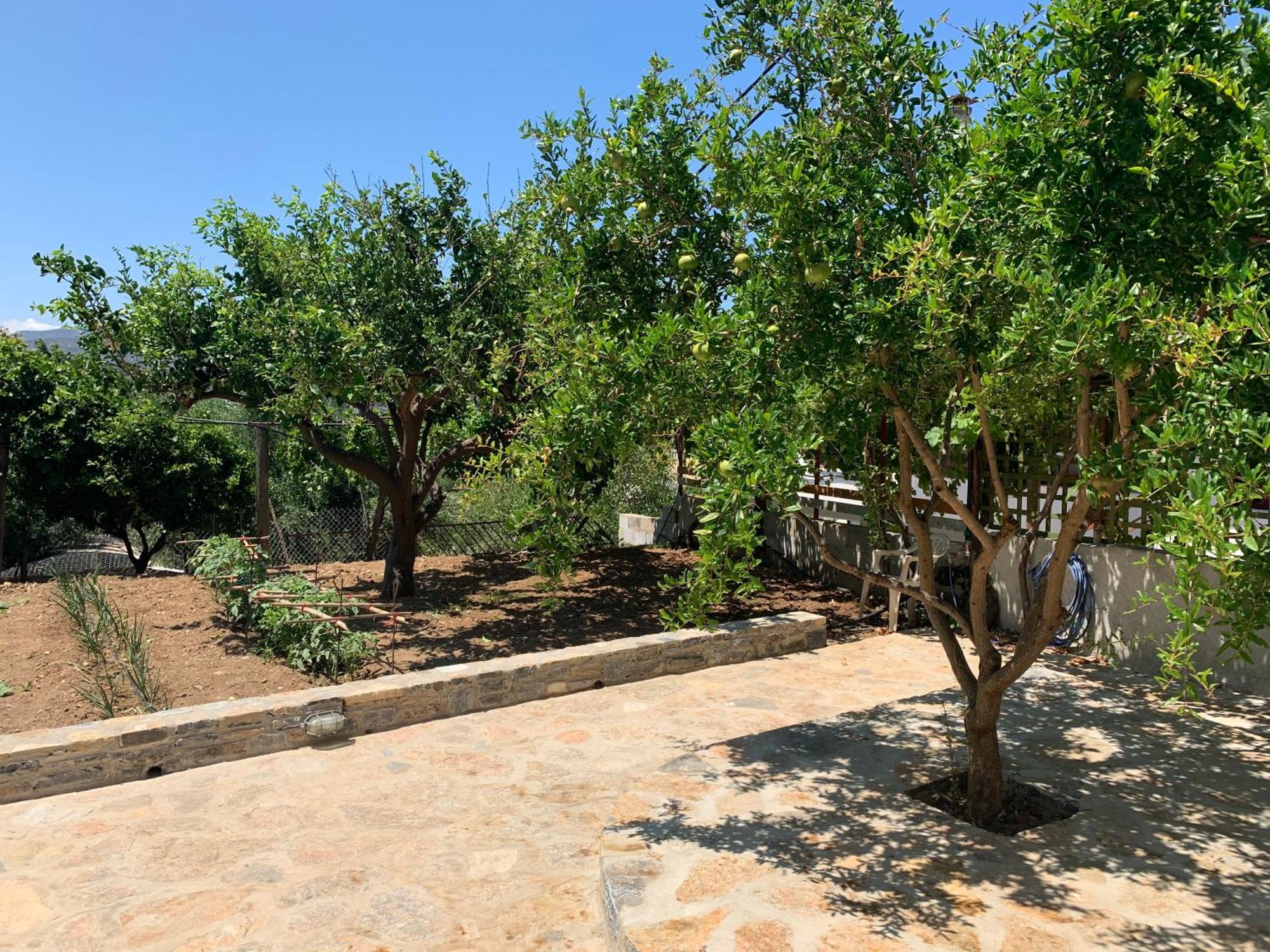 Gioma Garden Villas Istron Екстериор снимка
